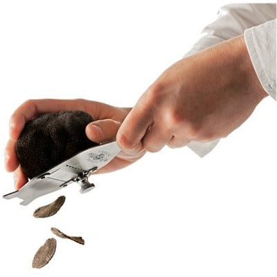 Fresh Burgundy Truffles (Tuber Uncinatum) - Pinocchio's Pantry - Authentic Italian Food