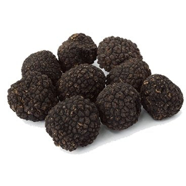 Fresh Burgundy Truffles (Tuber Uncinatum) - Pinocchio's Pantry - Authentic Italian Food