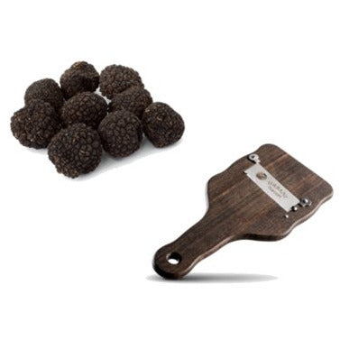 Fresh Burgundy Truffles with Wooden Truffle Slicer (Tuber Uncinatum) - Pinocchio's Pantry - Authentic Italian Food